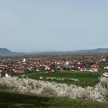 Pineview Lempes וילה *