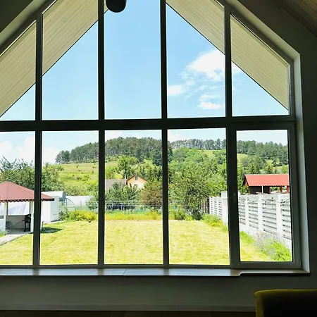 Pineview Lempes Villa Brasov