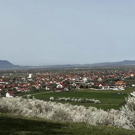 Pineview Lempes *